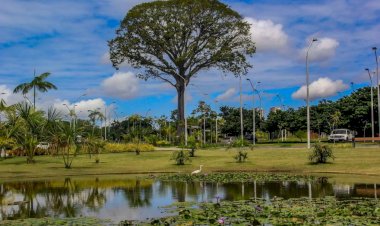 Parque Estadual do Utinga é Reconhecido Como um dos Dez Mais Visitados do Brasil